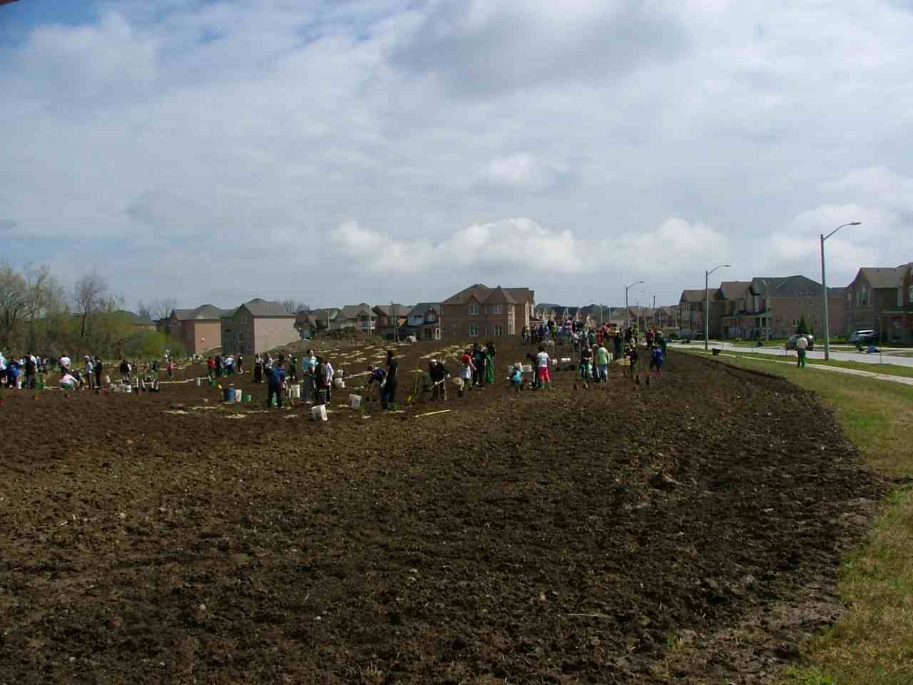 Tree planting day - 2009